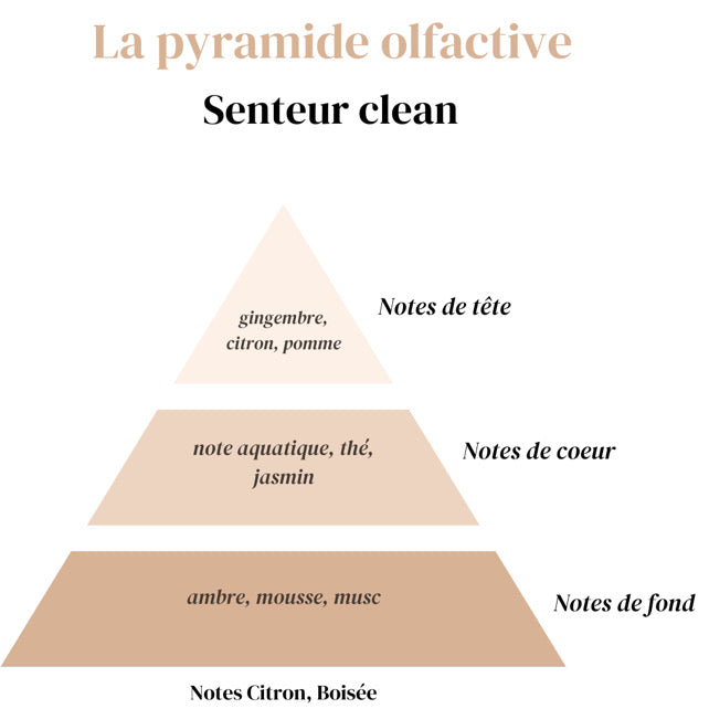Diffuseur Voiture - Clean