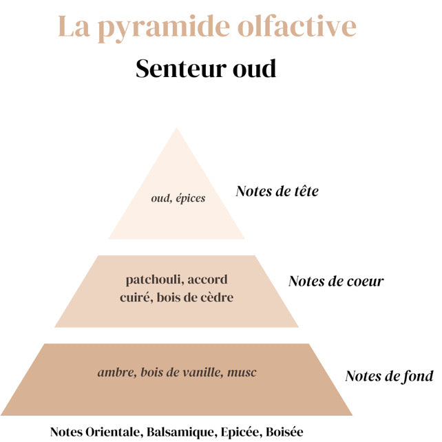 Diffuseur Voiture - Oud