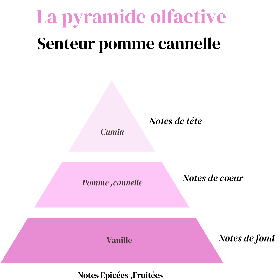 Fondant Pomme Cannelle