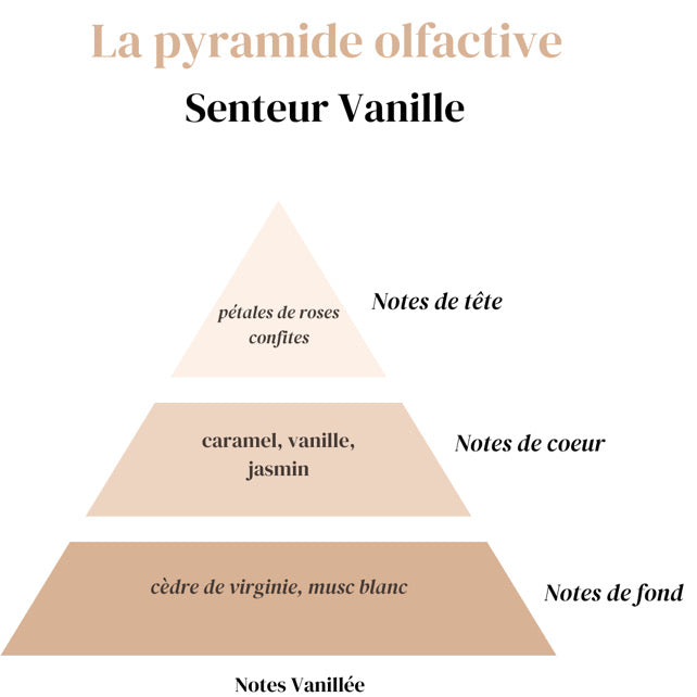 Diffuseur Voiture - Vanille
