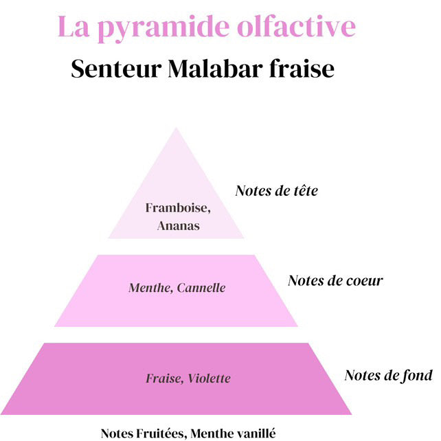 Fondant Malabar fraise