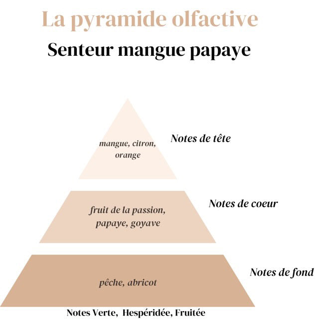 Diffuseur Voiture à Clip - Mangue Papaye