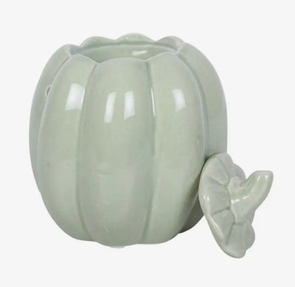 Brûleur citrouille vert sauge