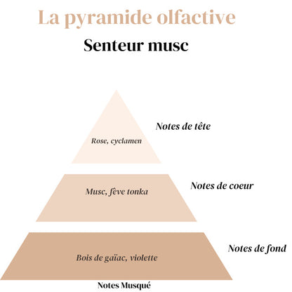 Diffuseur Voiture à Clip - Musc